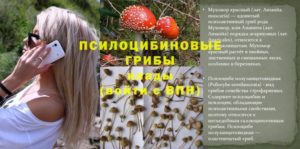 стафф Армянск