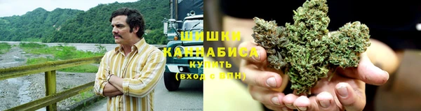 ПСИЛОЦИБИНОВЫЕ ГРИБЫ Балахна