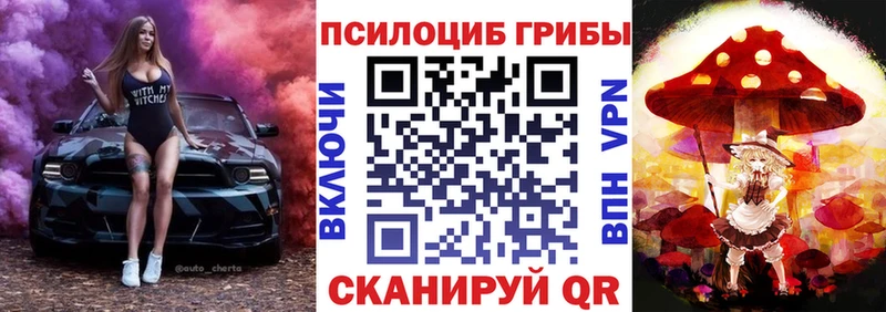 Псилоцибиновые грибы мицелий  купить наркотик  Миллерово 