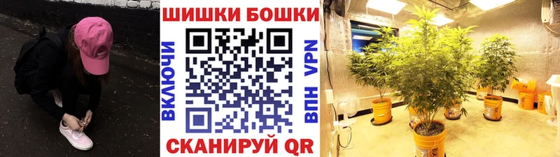закладка  Миллерово  Шишки марихуана ГИДРОПОН 